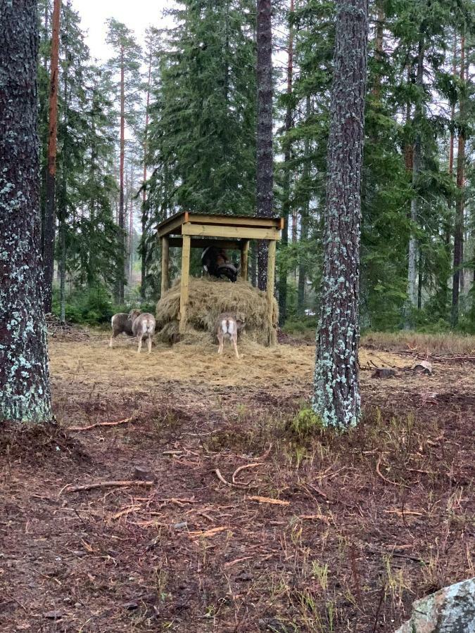 Cozy House In Center Surrounding With Swedish Nature Apartment